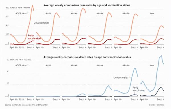 全球首個新冠口服藥物獲批!新冠病毒卻正在“吃掉”人類的大腦 全球首個新冠口服藥物獲批!新冠病毒卻正在“吃掉”人類的大腦