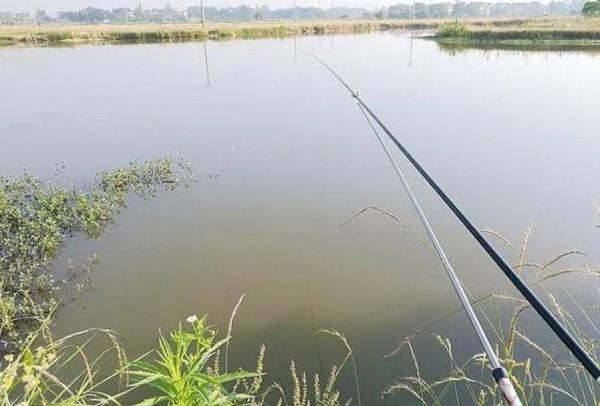 冬季釣魚4不釣和2技巧，想爆護還是想空軍都由你來定