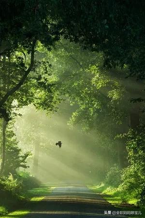 分享——美景小道