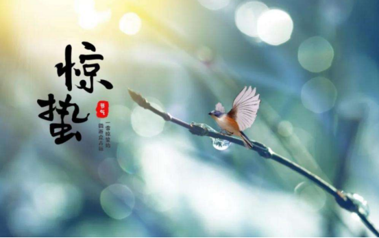 驚蟄到來 這些養生攻略 你也該收藏了