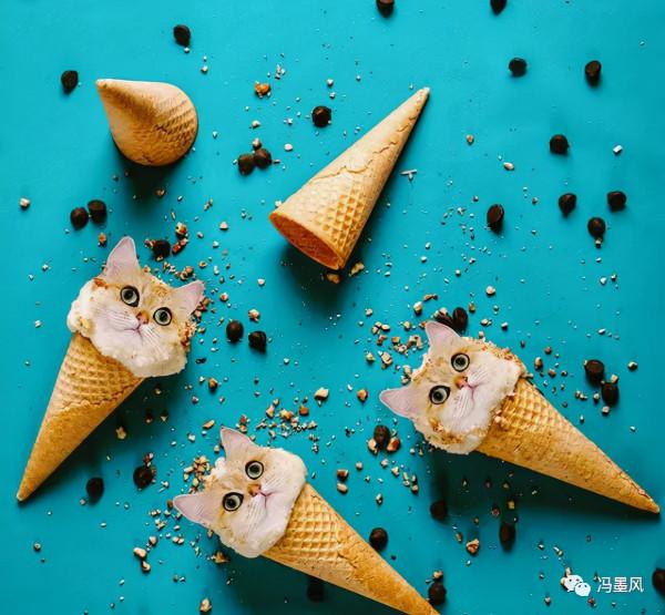 這樣的貓片，真下飯