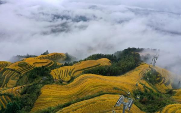 廣西龍脊梯田:雨後雲霧如畫 廣西龍脊梯田:雨後雲霧如畫