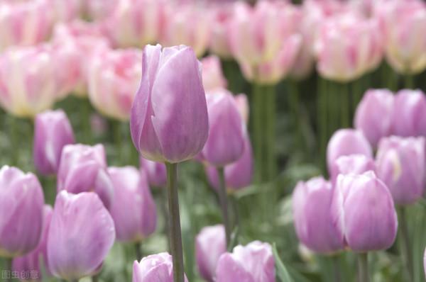 2022年1月運勢：天蠍座、摩羯座、射手座