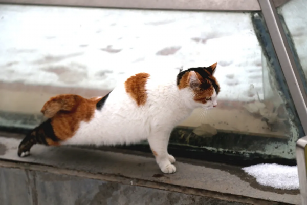 幹飽飯，才有力氣營業