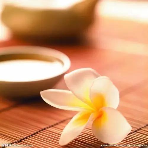 一部《菜根譚》，說盡了人性