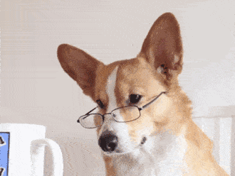 注意！狗子“抑鬱”的7大症狀，主人趕緊幫幫它吧