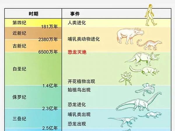 在恐龍骨頭中發現膠原蛋白，距今2億年？