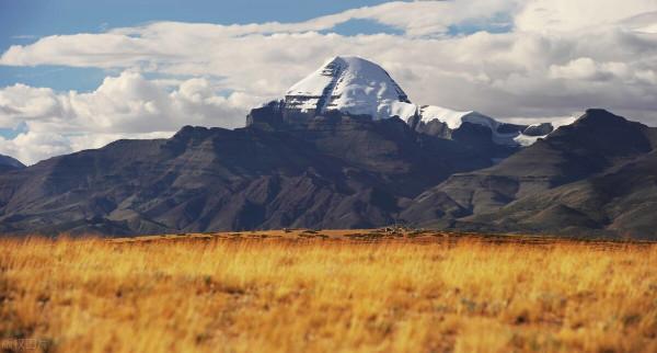 那些年，你遇到的最讓你歎為觀止的事情是什麼