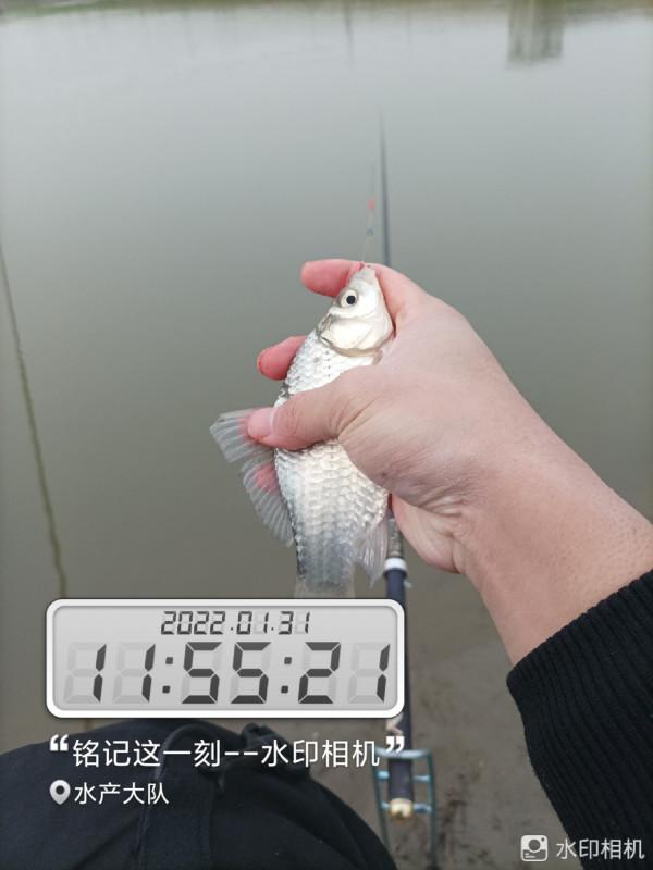 新年新氣象，虎年首釣完美爆護