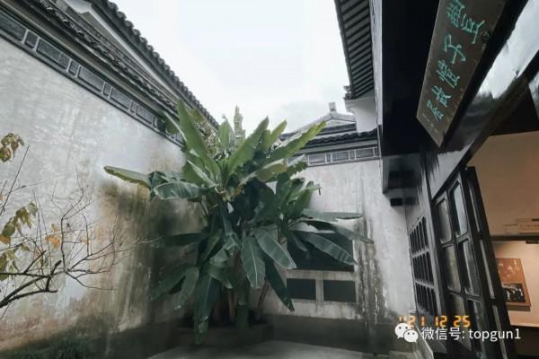 原來江南也有如此夢幻霧凇 原來江南也有如此夢幻霧凇