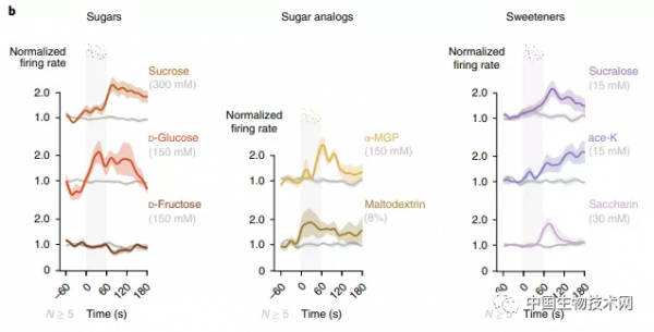 相信你的“直覺”：“假糖”騙得過味蕾，但騙不了“腸”