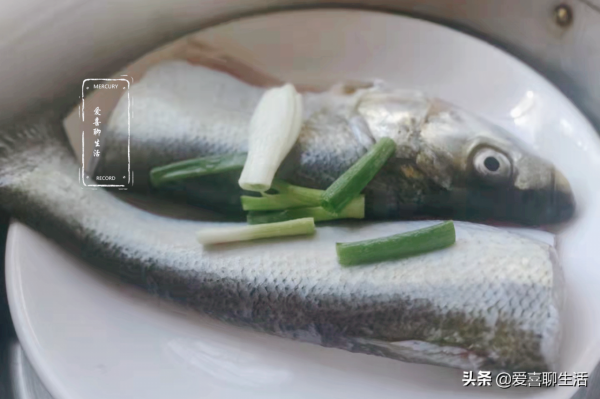 這魚肉質細嫩,卻因魚刺巨多遭人嫌棄,其實營養極高,蒸著吃最鮮 這魚肉質細嫩,卻因魚刺巨多遭人嫌棄,其實營養極高,蒸著吃最鮮