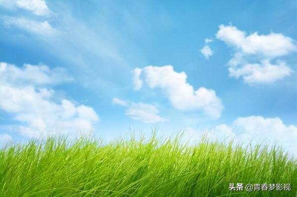 健康養生小知識之四個平時炒菜的不良習慣