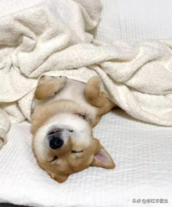 如何預防腦萎縮的發生 如何預防腦萎縮的發生