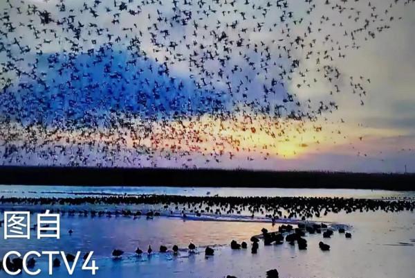 福叟（趙文瑞）的原創