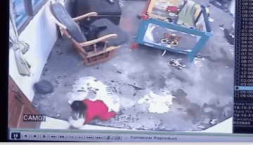 一隻貓擊退3只野狼,只為保護主人 一隻貓擊退3只野狼,只為保護主人