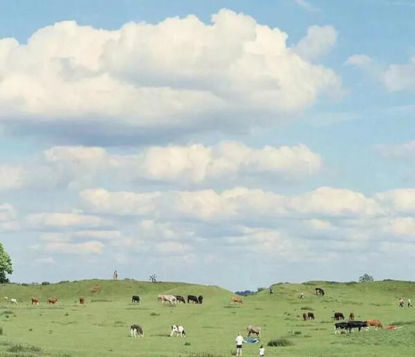 好的人生建議會提醒你，少給別人講道理