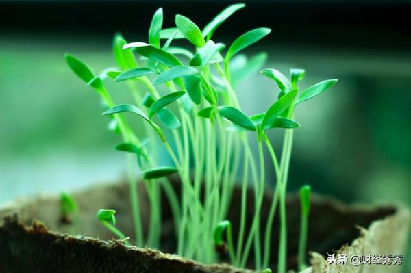 疫情2年，你還好嗎？