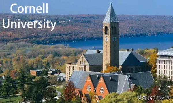 任性天才王垠，3次放棄頂尖高校博士學位，被微軟全球封殺