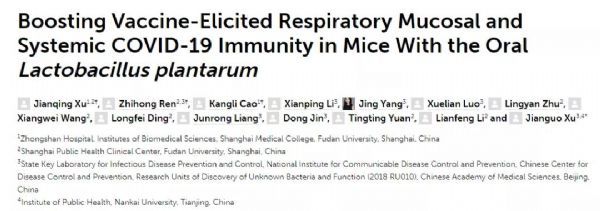 這種益生菌竟可顯著增強新冠疫苗效果
