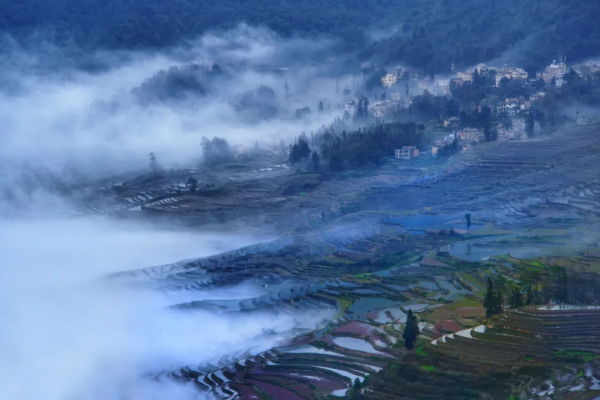 《12月限定丨國內旅行目的地指南》