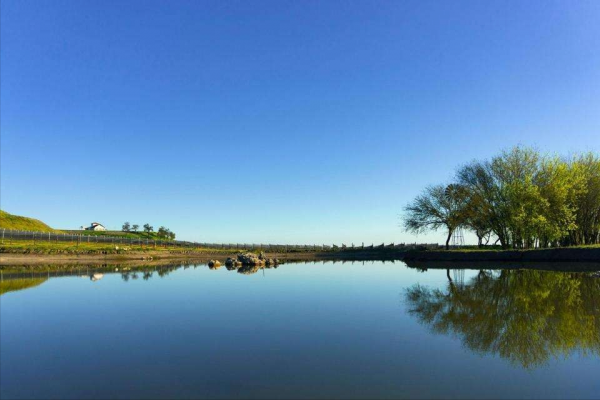 《論語·學而》：人生只有一件事是修煉好自己，活好自己