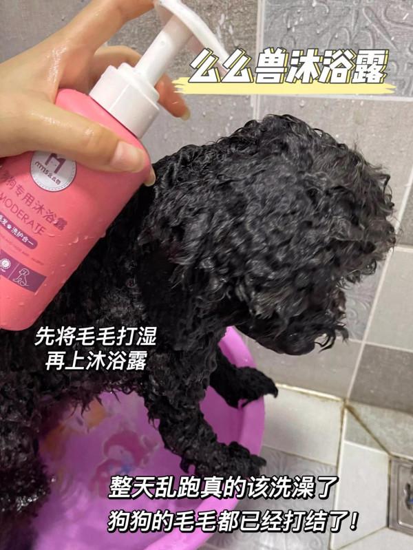 精緻汪星人的狗狗沐浴露｜不交智商稅