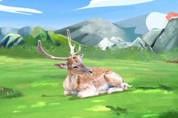 人與自然和諧共生教育：陸生動物​（一）