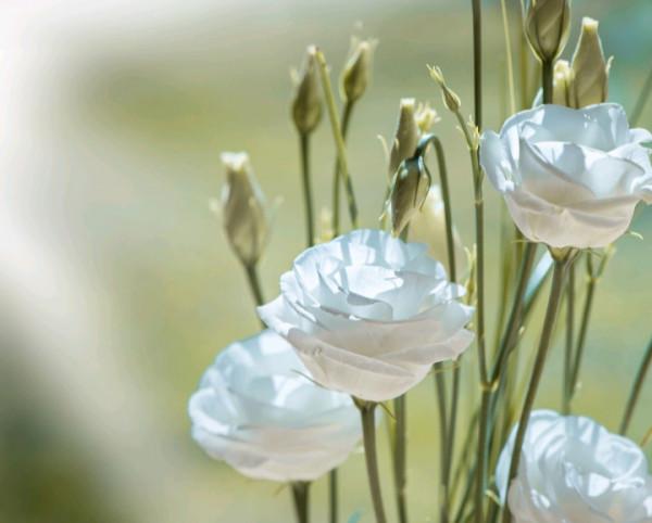 12星座的“廬山真面目”，你真的知道嗎？