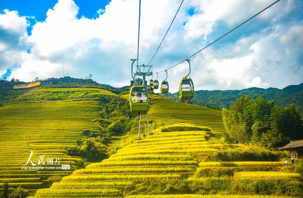 廣西龍勝：梯田迎客來