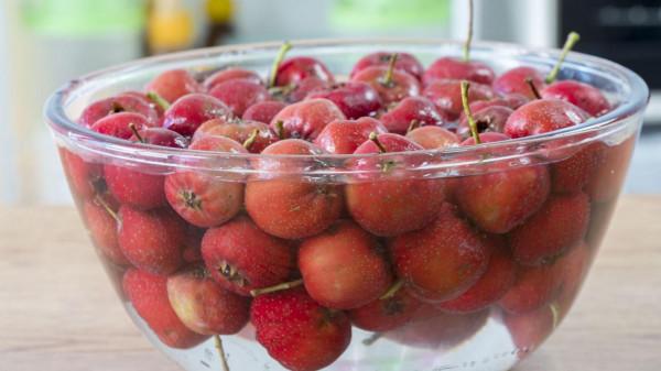 秋季進補,推薦8種食材,多給家人吃,健康養胃,降秋燥事半功倍 秋季進補,推薦8種食材,多給家人吃,健康養胃,降秋燥事半功倍