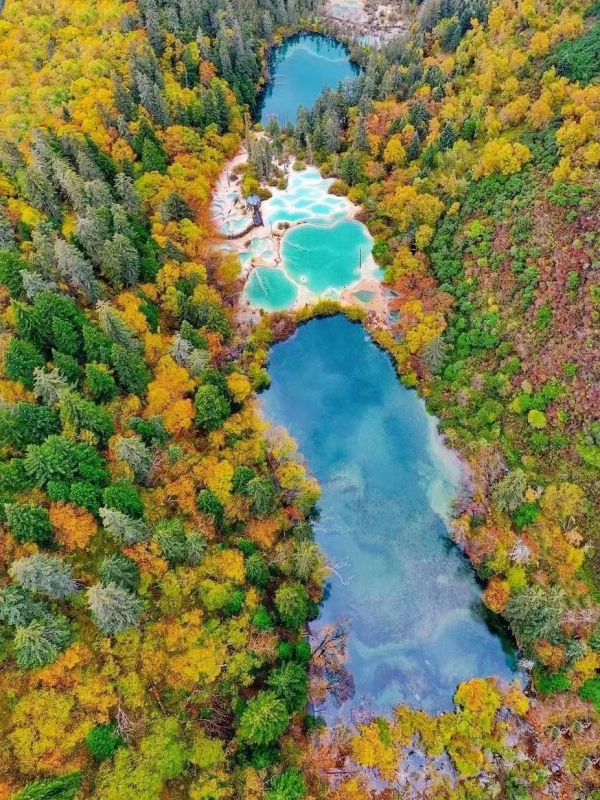 絕美秋色上線！10個賞秋地大賞，你可以永遠相信川西