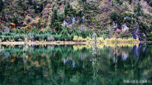 別人的生活:退休了 開始自駕遊 別人的生活:退休了 開始自駕遊