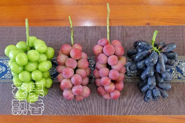 為什麼大家喜歡跳新品種的坑? 為什麼大家喜歡跳新品種的坑?