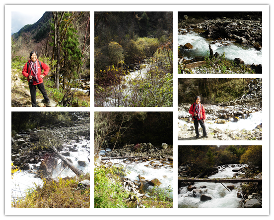 2012年 L-2 彩林之旅-孟屯河谷7老君溝 2012年 L-2 彩林之旅-孟屯河谷7老君溝