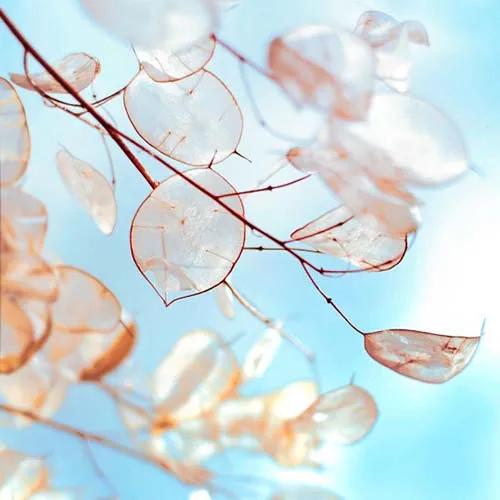 股骨頸骨折以後的三個月，我應該做點什麼？