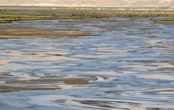 讀完西遊記才發現，老實巴交的沙僧，才是取經團隊最大的隱患