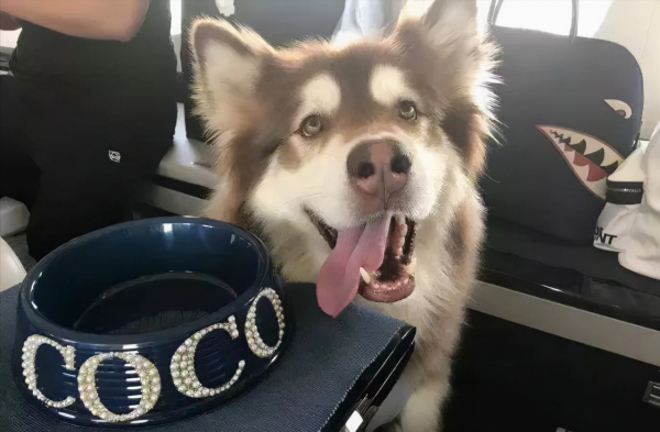 扒一扒&OpenCurlyDoubleQuote;國民老公&rdquo;王思聰的表 &vert; 原來他只追求買不到的超級限量款