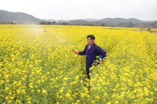 替代吡蟲啉的新型殺蟲劑，可同時防蚜蟲、薊馬、飛蝨，持效期30天