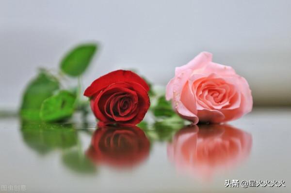 四個人四種結局，當年陪你去看流星雨的 F4，情感歸宿是這樣