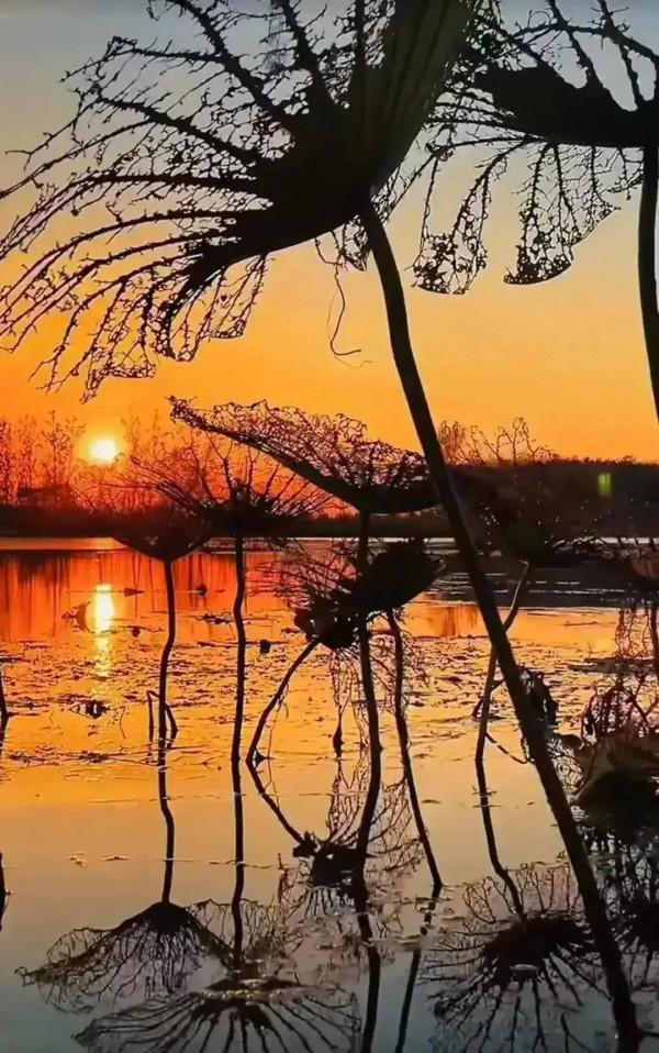 七絕《初冬五首》