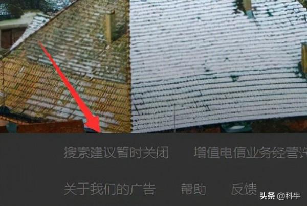 bing搜尋被要求限期整改，是否也會退出國內市場？