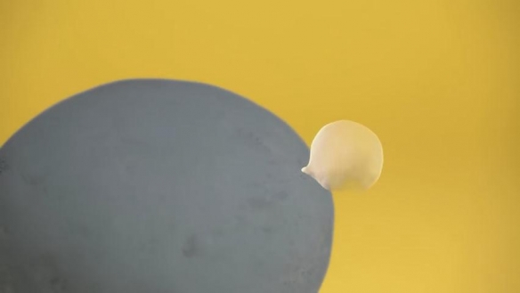 《寶可夢》官方釋出黏土動畫 百變怪和木木梟超有愛