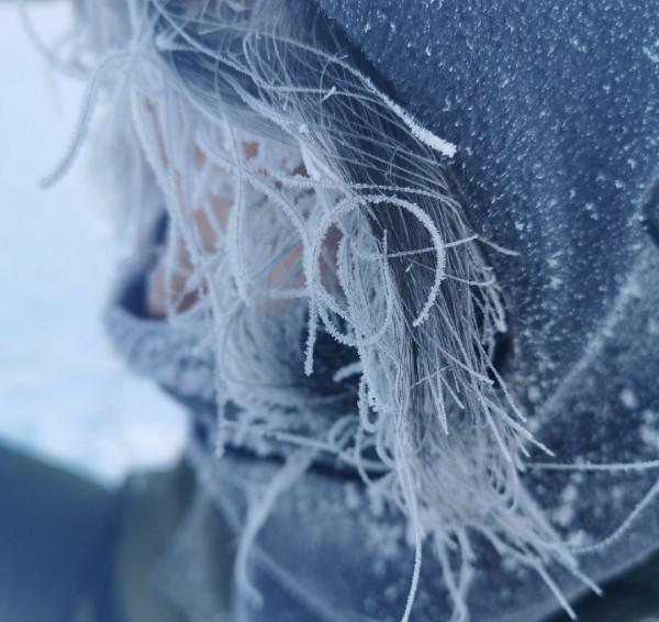 多少人的夢想!湖南姑娘用5年,在新疆禾木打造了個絕美花園 多少人的夢想!湖南姑娘用5年,在新疆禾木打造了個絕美花園