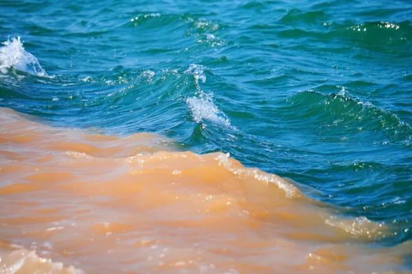 第一站,黃河入海口! 第一站,黃河入海口!