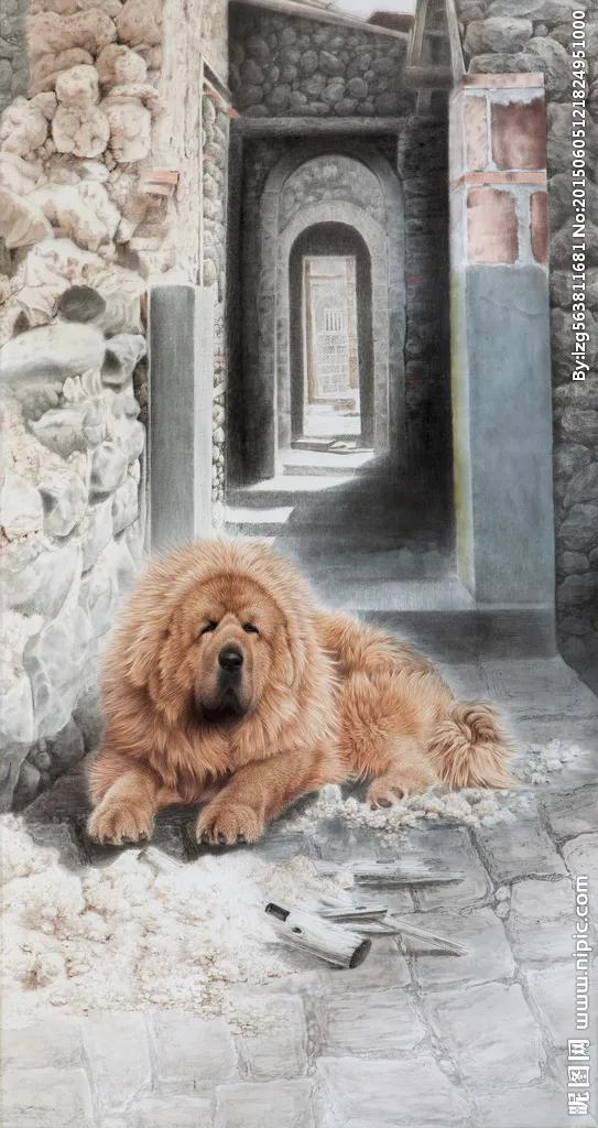 藏獒 威武 兇猛 忠誠