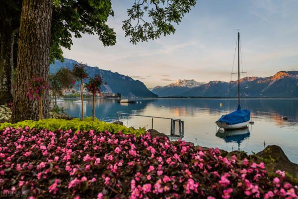 她的未婚夫後來娶了鞏俐，法國女神阿佳妮為何孤獨終老？