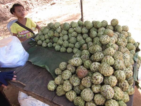 小夥獨自騎行柬埔寨,在小鎮斯昆落淚了,兩位中國英雄曾在此犧牲 小夥獨自騎行柬埔寨,在小鎮斯昆落淚了,兩位中國英雄曾在此犧牲