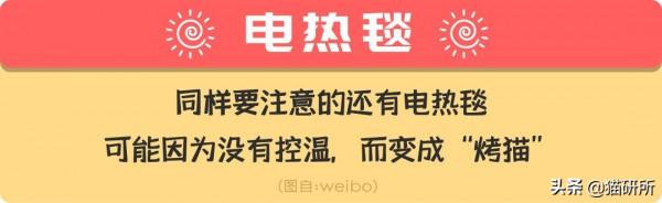 2分鐘掌握6個室內貓過冬小技巧