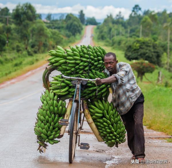 非洲的菜市場，顛覆你的三觀，這些東西在菜市場都能夠見到
